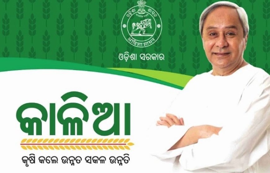 ଅଯୋଗ୍ୟ ଫେରାଇବେ କାଳିଆ ଟଙ୍କା