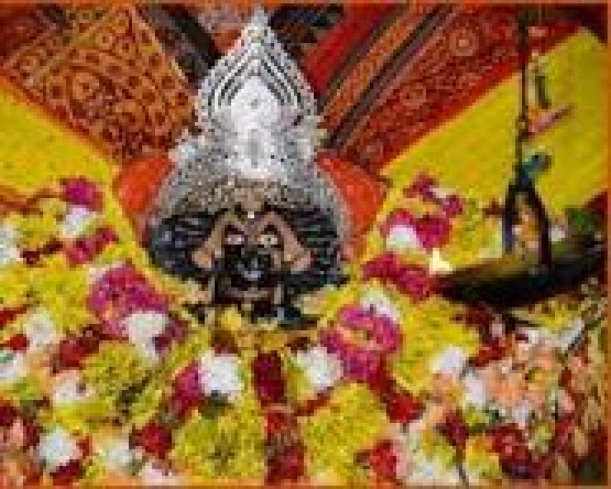 ବ୍ୟାସନଗରରେ ମା’ ବିରଜାଙ୍କର ଷୋଡଶ ପୂଜା