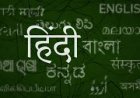 କେଉଁ ଦେଶରେ ହିନ୍ଦୀ ଭାଷା ଅଧିକ ବ୍ୟବହୃତ ?