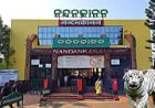 ଆଜିଠୁ ନନ୍ଦନକାନନ ଖୋଲିବ