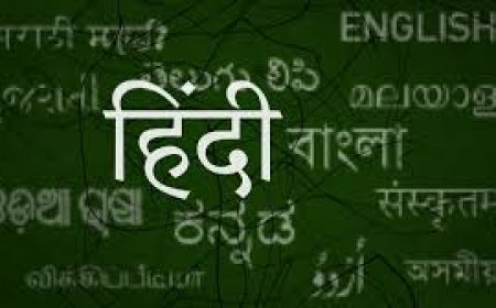 କେଉଁ ଦେଶରେ ହିନ୍ଦୀ ଭାଷା ଅଧିକ ବ୍ୟବହୃତ ?