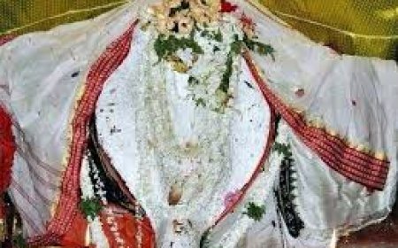 ମହାଳୟାରେ  ଧବଳମୁଖୀ ବେଶରେ ଦର୍ଶନ ଦେଲେ ମାଁ ସମଲେଶ୍ୱରୀ