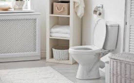 ବାସ୍ତୁ ଅନୁଯାୟୀ ଶୌଚାଳୟ କେଉଁ ଦିଗରେ କରିବେ ଜାଣନ୍ତୁ…