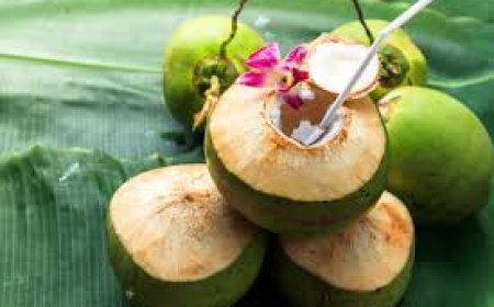 ଅଧିକ ନଡ଼ିଆ ପାଣି ପିଅନ୍ତୁ ନାହିଁ : ସାଇଡ୍‌ ଇଫେକ୍ଟ