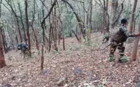 ସୁରକ୍ଷାକର୍ମୀଙ୍କ ଏନକାଉଣ୍ଟର: ୨ ଆତଙ୍କବାଦୀ ନିହତ