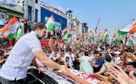 ହରିୟାଣା ନିର୍ବାଚନ : କେଉଁ ସର୍ଭେର ଆକଳନ କ’ଣ ? 