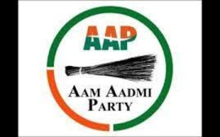 ଜମ୍ମୁ-କାଶ୍ମୀର: ଗୋଟିଏ ଆସନ ଜିତିଲା ଆପ୍