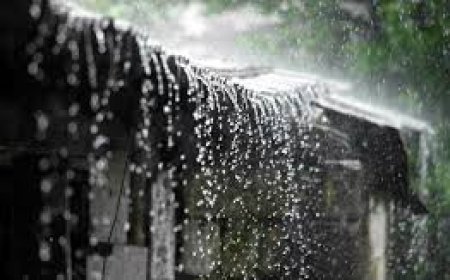 ଆଜି ୧୩ ଜିଲାରେ ବର୍ଷା ସମ୍ଭାବନା