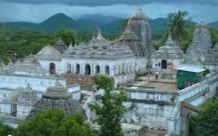 ମାଧବ ବିଗ୍ରହ : ନୀଳମାଧବ