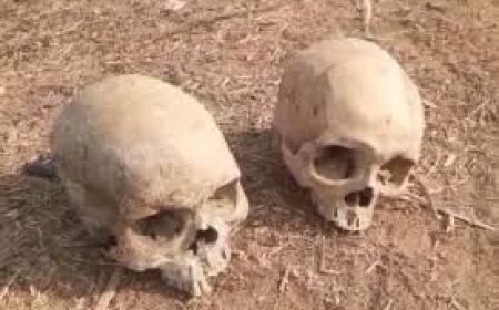 ମଣିଷ ହାଡ ଓ  ଖପୁରୀ ଜବତ