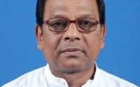 ରାଜନୀତି  ପାଣ୍ଡିଆନ ଓ ନବୀନଙ୍କ ମଧ୍ୟରେ ବହୁତ ଫରକ: ନୃସିଂହ ସାହୁ