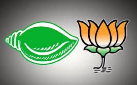 ବିଜେପିରେ ମିଶିବ ବିଜେଡି