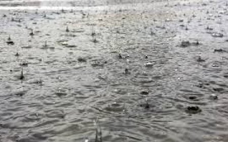 ବାତ୍ୟା: ଏହି  ଜିଲାରେ ପ୍ରବଳ ବର୍ଷା ସମ୍ଭାବନା