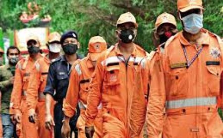 ବାତ୍ୟା ‘ମୁକାବିଲା ପାଇଁ ସରକାର ପ୍ରସ୍ତୁତ:  ବିଭିନ୍ନ ଜିଲ୍ଲାକୁ ଯିବେ ଏନଡ଼ିଆରଫ, ଓଡ୍ରାଫ