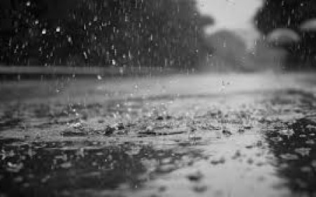 ପ୍ରବଳ ବର୍ଷା ସମ୍ଭାବନା: ୭ ଜିଲାକୁ ରେଡ୍ ୱାର୍ନିଂ