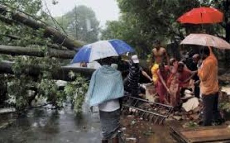 ମହାବାତ୍ୟା ପରେ, କେନ୍ଦ୍ରାପଡ଼ାକୁ ପ୍ରଭାବିତ କରିଛି ୭ଟି ବାତ୍ୟା 