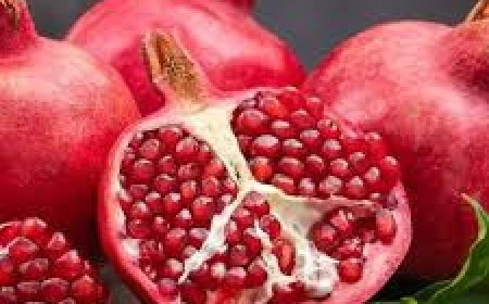 ଡାଳିମ୍ବ ଚୋପାର ଉପକାରିତା