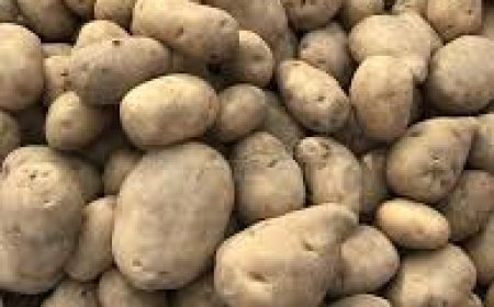 କଟକ ଯୋଗାଣ ବିଭାଗର ଚଢ଼ାଉ; ‘ଆଳୁ ୪୦ ଟଙ୍କା ଟପିଲେ କାର୍ଯ୍ୟାନୁଷ୍ଠାନ’