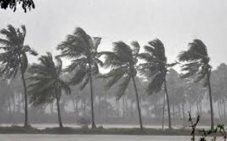 ଖୋଜା ପଡ଼ୁଛି ବାତ୍ୟା ଆଶ୍ରୟସ୍ଥଳ: କେଉଁଠି ରହିବେ?