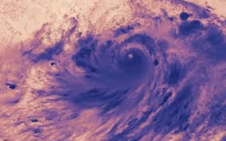 ଭିତରକନିକାରେ  ବାତ୍ୟା  ଲ୍ୟାଣ୍ଡଫଲ୍‌!