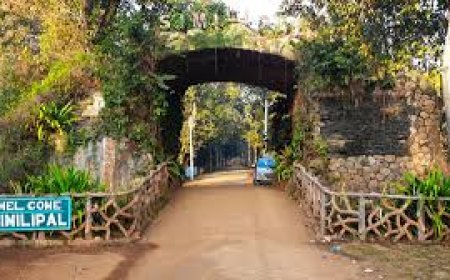 ବାତ୍ୟା ଦାନା’  ପାଇଁ ଶିମିଳିପାଳ ବନ୍ଦ