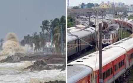 ମାଡ଼ି ଆସୁଛି ‘ଦାନା :  ଭାଙ୍ଗୁଛି ଗଛ