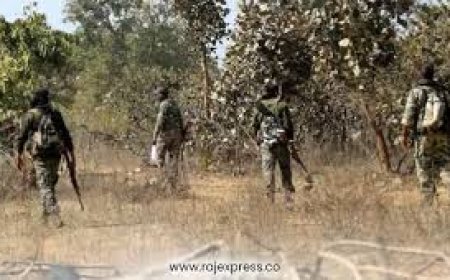 ଏନ୍କାଉଣ୍ଟରରେ କ୍ୟାଡର ନକ୍ସଲ ନିହତ