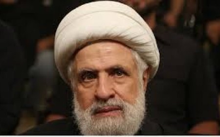 ହେଜବୁଲ୍ଲାର ନୂଆ ମୁଖ୍ୟ ନୈମ କ୍ୱାସୀମ