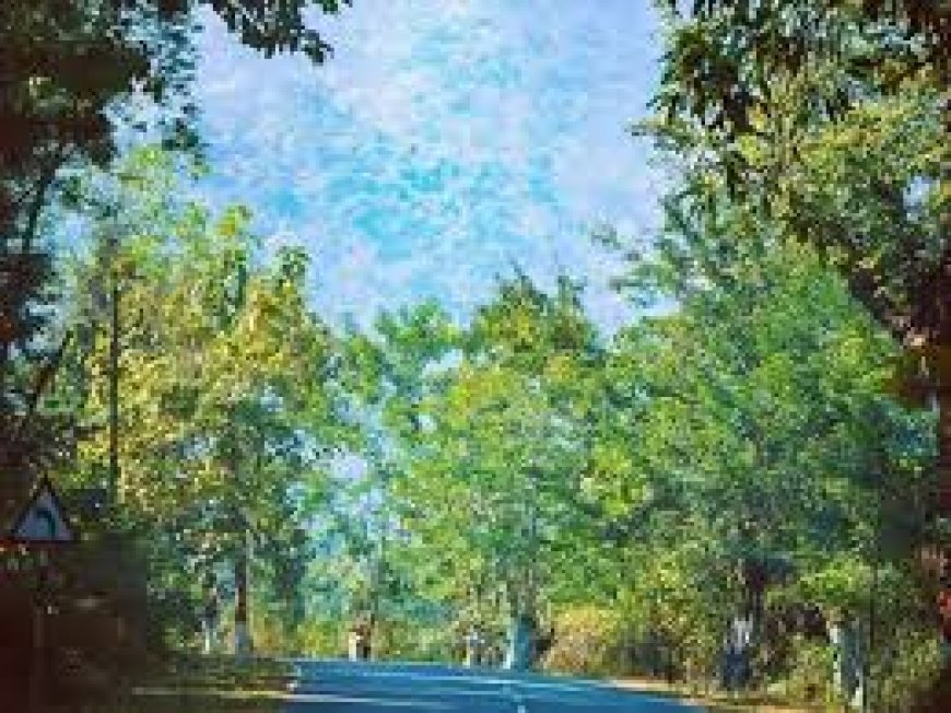 ସାତକୋଶିଆ ପାଇଁ ୧୨ ପାଟ୍ରୋଲିଂ ଭ୍ୟାନ