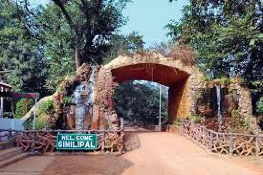 ମହାରାଷ୍ଟ୍ର ମହାବଳ ଆସିଲା ଶିମିଳିପାଳ