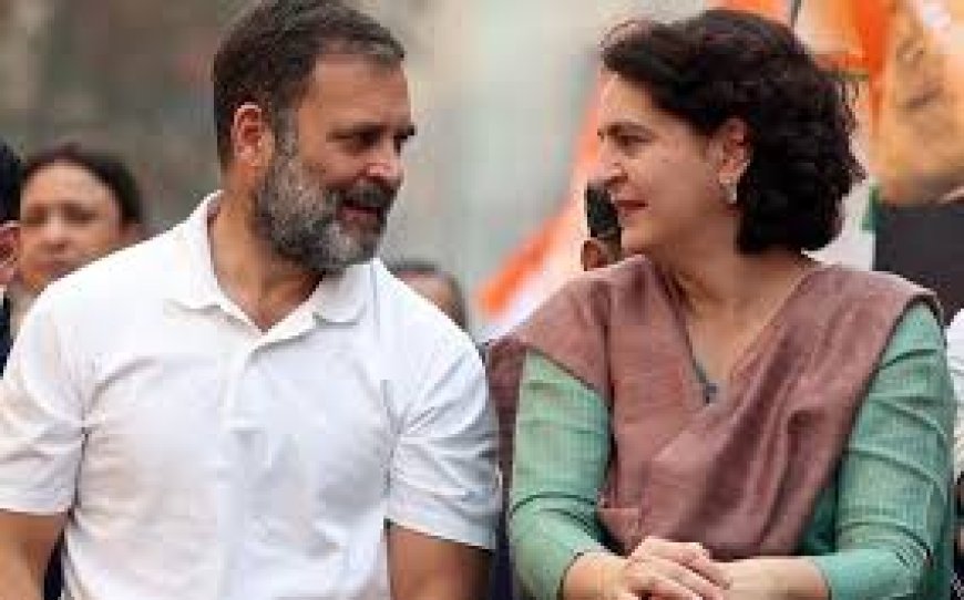 ୱାୟନାଡର ଦୁଇଜଣ ଏମପି ରହିବେ: ରାହୁଲ ଗାନ୍ଧୀ
