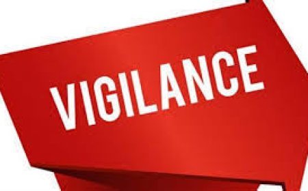 ଭିଜିଲାନ୍ସ ଜାଲରେ କନିଷ୍ଠ ଯନ୍ତ୍ରୀ