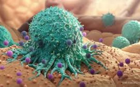 କେକ୍ ରୁ  କ୍ୟାନ୍ସର୍