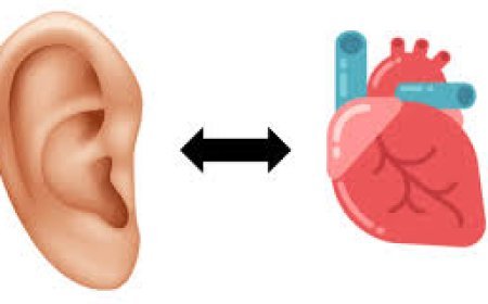 କାନ ଓ ମନ