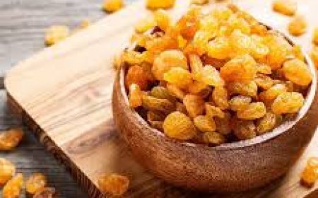 କ୍ଷୀରରେ କିସମିସ ବତୁରାଇ ଖାଇଲେ ମିଳେ ଏହି ଲାଭ..