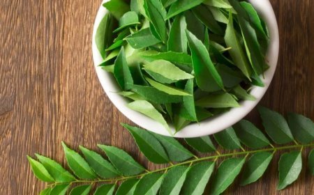 ତ୍ବଚାର ସ୍ବାସ୍ଥ୍ୟ ପାଇଁ ଉପକାରୀ କଞ୍ଚା ଭୁର୍ସୁଙ୍ଗ ପତ୍ର