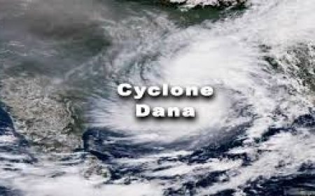 ବାତ୍ୟା କ୍ଷୟକ୍ଷତିର ଚୂଡ଼ାନ୍ତ ରିପୋର୍ଟ