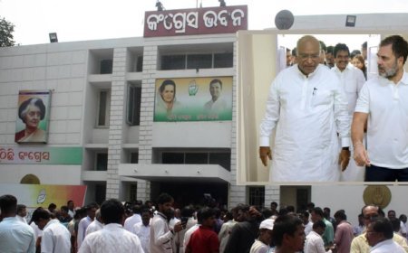 ଭକ୍ତ ନା ମୋକିମ୍‌, କାହାକୁ ବାଛିବେ ରାହୁଲ ?