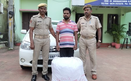 ୩୦ କେଜି ଗଞ୍ଜେଇ ଜବତ; ବେପାରୀ ଗିରଫ