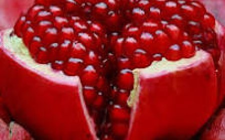 ଡାଳିମ୍ବ ଚୋପାର ଉପକାରିତା