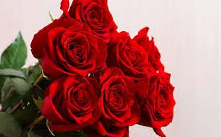 ଗୋଲାପ ଫୁଲର  ଔଷଧୀୟ ଗୁଣ