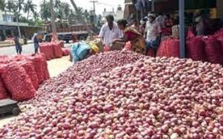 ପିଆଜ ଦର ଆକାଶଛୁଆଁ : ଖାଦ୍ୟ ଯୋଗାଣ ମନ୍ତ୍ରୀ