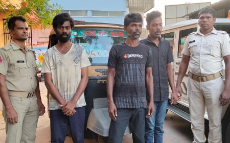 ଶଳା ଘରୁ ବୁଲିଲା କଳାକନା; ଭିଣୋଇ ସହ ୨ ଗିରଫ