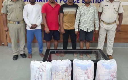 ରାଜଧାନୀକୁ ଲମ୍ବିଛି କନ୍ଧମାଳର ଚୋରା ଗଞ୍ଜେଇ ଚେର