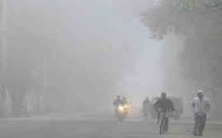 କମିଲା ତାପମାତ୍ରା  ୧୧ଡିଗ୍ରୀରେ ପହଁଞ୍ଚିଲା