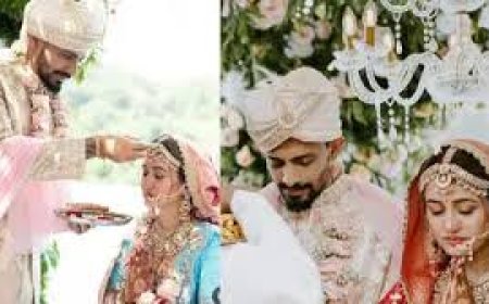 ବିବାହ କଲେ ଏଲିନା