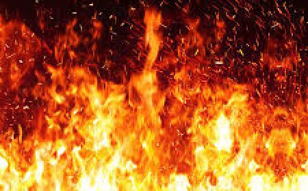 ଚୋରି ଧରା ପଡିଗଲା ବୋଲି... ଶାଶୂକୁ ଜାଳିଦେଲା ବୋହୂ