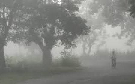 ଏହି ୩ ଜିଲାରେ ଘନ କୁହୁଡ଼ି : ୟେଲୋ ଓ୍ବାର୍ନିଂ