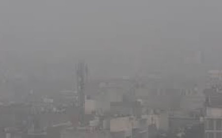 ଦିଲ୍ଲୀର ଏୟାର କ୍ୱାଲିଟି ଇଣ୍ଡେକ୍ସ ରେକର୍ଡ ଭାଙ୍ଗିଲା