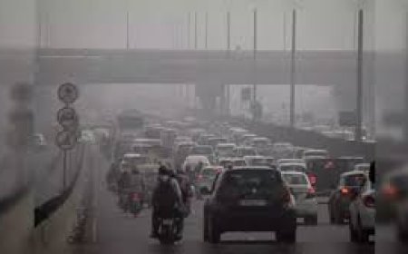 ଦିଲ୍ଲୀ ୟୁନିଭର୍ସିଟି ଓ ଜେଏନ୍ୟୁରେ ମଧ୍ୟ ଅନ୍ଲାଇନ୍ କ୍ଲାସ :  ଦିଲ୍ଲୀରେ ବାୟୁ ପ୍ରଦୂଷଣ ଗୁରୁତର